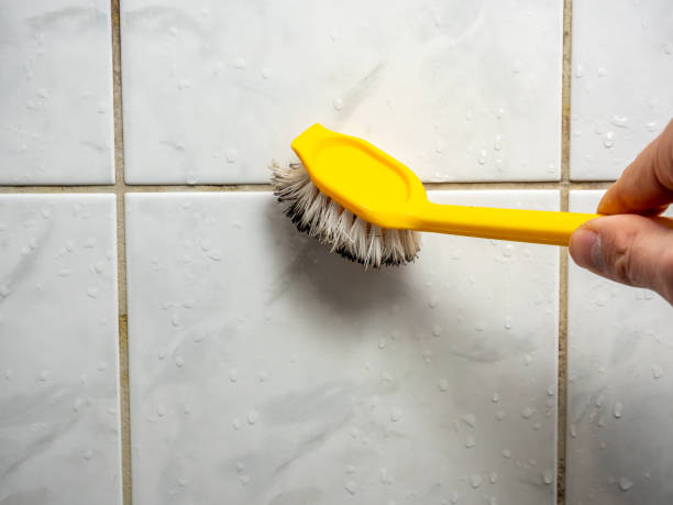 Best Commercial Mold Removal  in Crestwood, MO