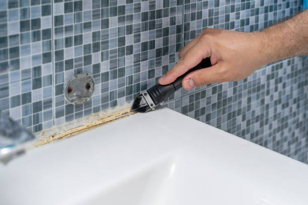 Best Black Mold Removal  in Crestwood, MO